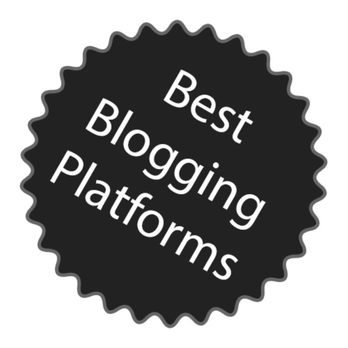 Best Blogging Platforms