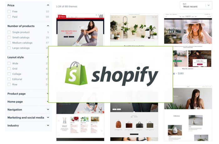 Building a Shopify Store