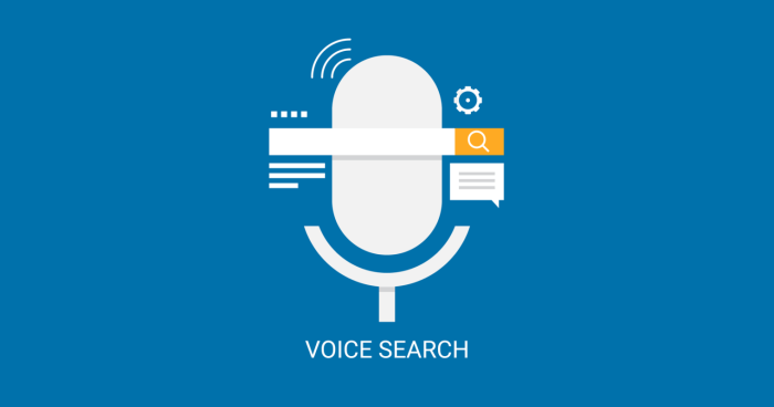 Voice Search Optimization