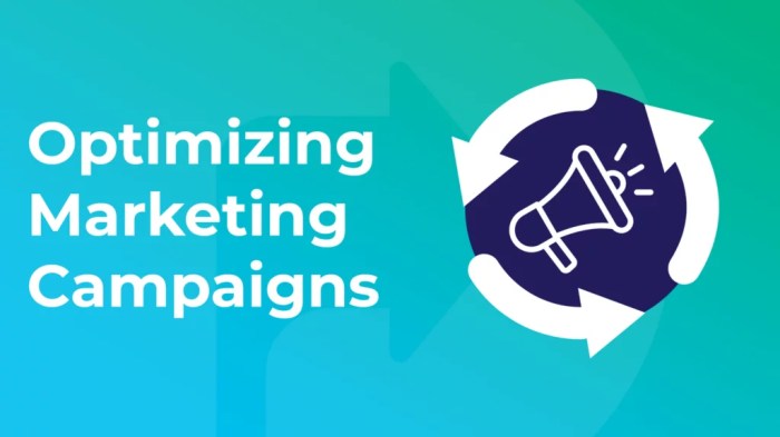 Optimizing Ad Campaigns