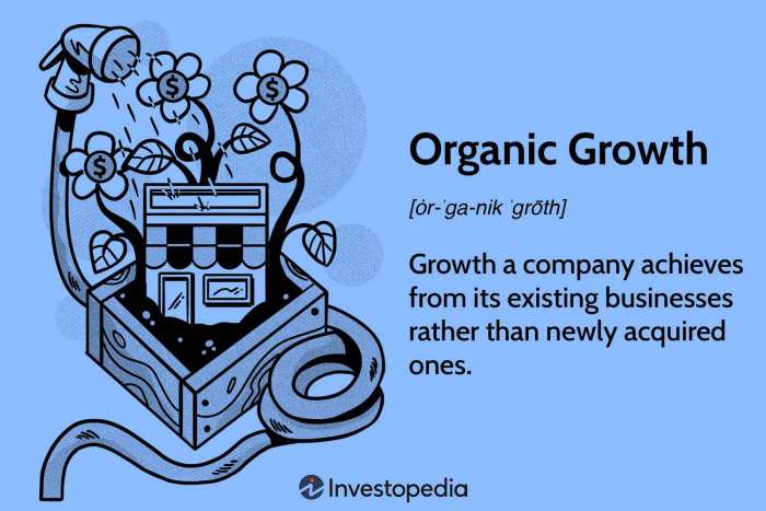 Understanding Organic Growth