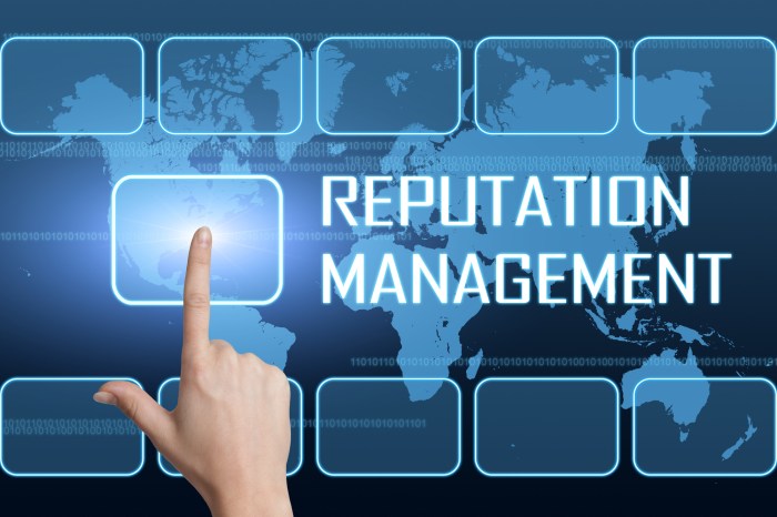 Managing Brand Reputation Online