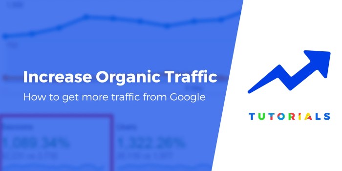 Website Traffic Strategies